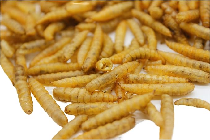 Premium Chicken Treats 2LBS - Superior to Dried Mealworms - Non-GMO & 85X More Calcium Than Meal Worms - Molting & Laying Supplement - BSF Larvae Treats for Layer Hens, Ducks Wild Birds