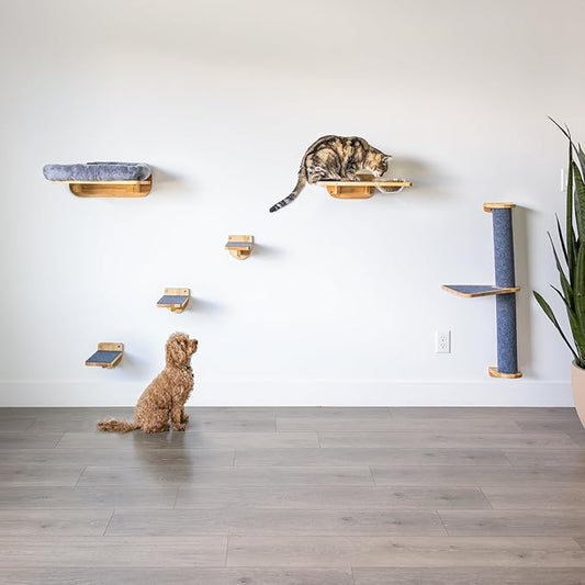 Cat Wall Shelves – Cat Wall Climber with Scratching Post, Removable Bed, Climbing Steps, and Feeding Terrace with Glass Bowls, Waterproof Rubberwood Pet Furniture