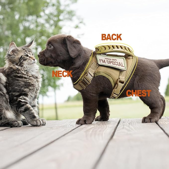 AIWAI Tactical Cat Harness for Walking Escape Proof, Adjustable Pet Vest Harness, Soft Mesh with Control Handle for Large Cat Small Dog, Gift with Patch (Camouflage, cat Harness and Leash Set)