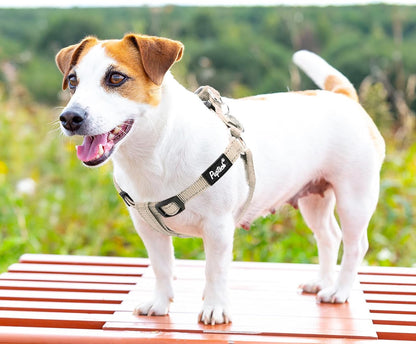 PUPTECK No Pull Dog Harness Soft Adjustable Basic Nylon Step in Puppy Vest Outdoor Walking with ID Tag, Reflecive Beige, S