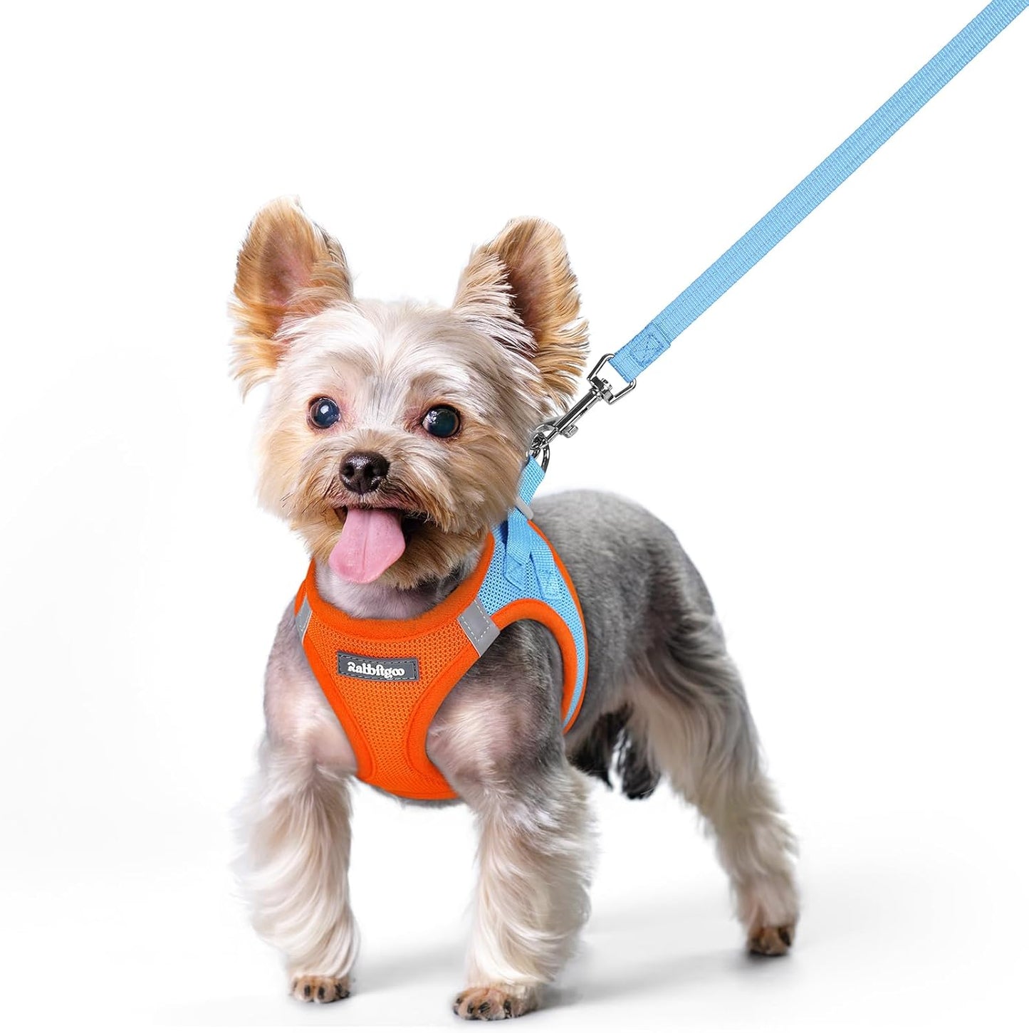 rabbitgoo Dog Harness Small Sized and Leash Set, Step in Soft Light Puppy Vest, Breathable Mesh Pet Harness, Reflective for Safe Easy Walking, Blue & Orange XS
