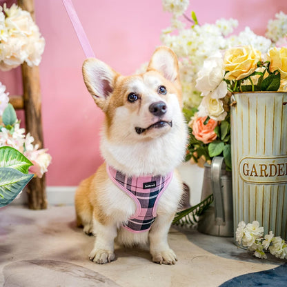 SCENEREAL Puppy Dog Harness with Leash Set for Small Medium Sized Dogs, Soft Mesh Step in Pet Harnesses and Leash, No Chock Plaid Adjustable No Pull Vest for Dogs Cats, Chihuahua,Bulldog (Pink S)