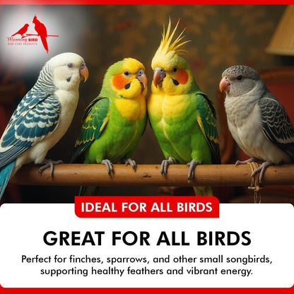 Morning Bird Calcium Plus Powder for Birds 16 oz – Calcium Supplement with Vitamin & Protein Powder – Supports Bone Health, Muscle Function & Digestive Balance – Easy-to-Mix Calcium Formula