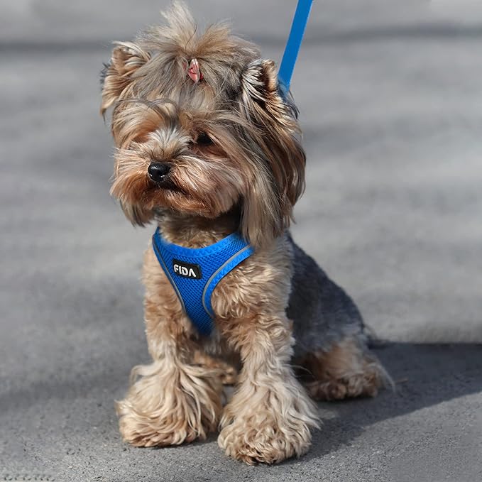 Fida Comfy Dog Harness with Leash, Cat Vest Harness Escape Proof, Breathable Lightweight Soft Mesh, Adjustable Reflective Step-in Harness for Puppy Toy Breeds & Extra-Small Pet (XXS, Blue)