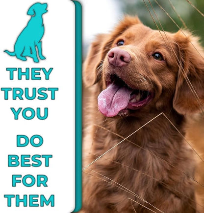 H&H Pets Bamboo Toothbrush Set for Dogs and Cats - Soft Bristles & Biodegradable Wooden Toothbrush, Puppy Supplies, Dog Brush Set, Pet Supplies Dog Grooming Kit Eco-Friendly (Size Small, 3-Count Pack)