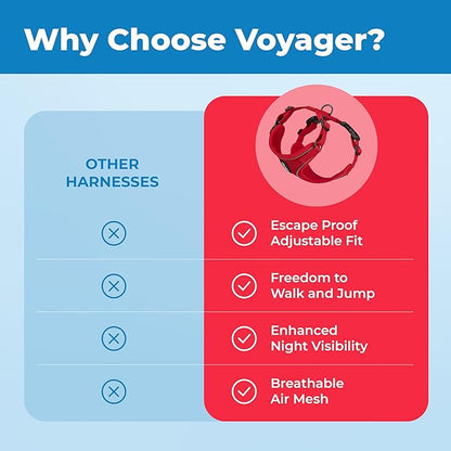 Voyager Escape Proof Cat Harness and Leash Set with Reflective Stitching, Neoprene Handle 5ft - Supports Small, Medium and Large Cats, Kittens for Walking by Best Pet Supplies - Red, XS