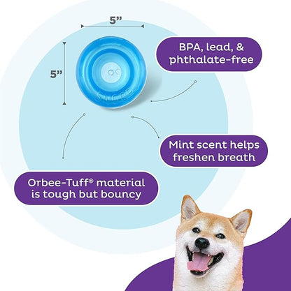 Outward Hound Large Snoop Interactive Treat Dispensing Dog Toy, Puzzle Ball Slow Feeder for Medium to Large Dogs, Mint-Scented for Mental Stimulation & Boredom Relief, BPA-Free, 5-Inch, Blue