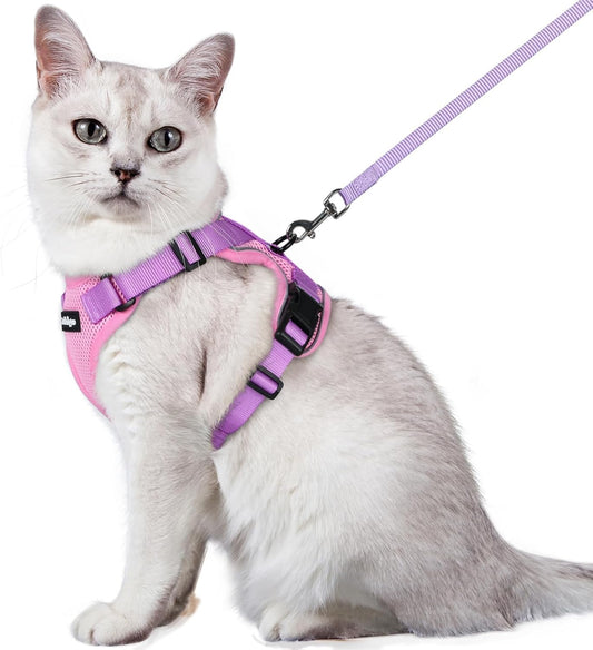 rabbitgoo Cat Harness and Leash for Walking, Escape Proof Soft Adjustable Vest Harnesses for Cats, Easy Control Breathable Reflective Strips Jacket, Pink & Purple, M