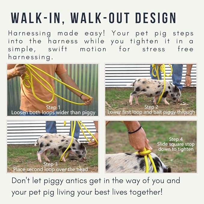 Mini Pig Harness & Leash - Fully Adjustable, Infinity Style Lead, Step-in Harness, Potbelly Supplies, All-in-One - Ideal for Small & Large Pet Pigs (Mauve Pink, Large)