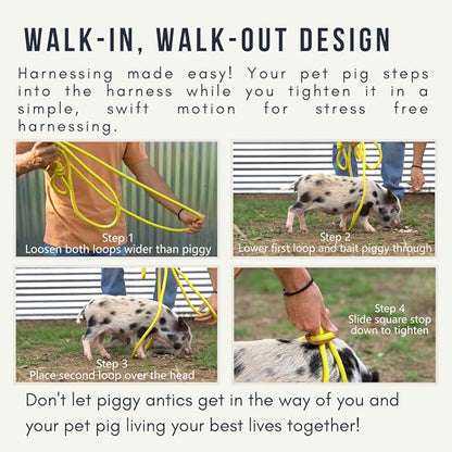 Mini Pig Harness & Leash - Fully Adjustable, Infinity Style Lead, Step-in Harness, Potbelly Supplies, All-in-One - Ideal for Small & Large Pet Pigs (Mauve Pink, Large)