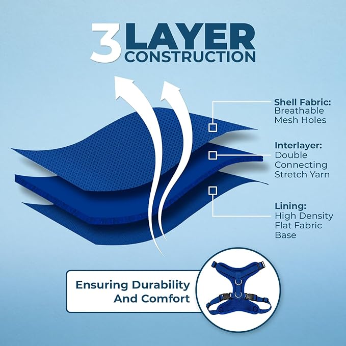 Voyager Step-in Lock Adjustable Cat Harness w. Cat Leash Combo Set with Neoprene Handle 5ft - Supports Small, Medium and Large Breed Cats by Best Pet Supplies - Royal Blue, S