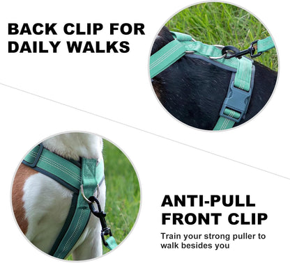 Plutus Pet No Pull Dog Harness, Adjustable Nylon Harness with Soft Padding, Reflective and Heavy Duty Dog Harness for Small, Medium, Large Dogs(Teal, XS)