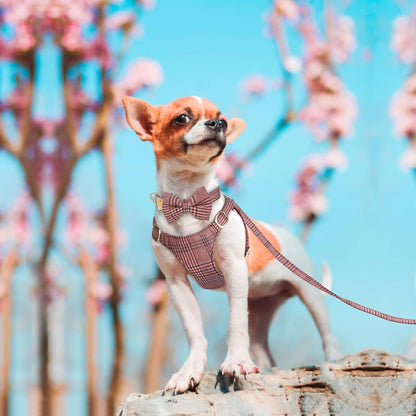 Beirui Cute Extra Small Dog Harness Collar and Leash Set with Bowtie, Soft Adjustable Plaid Puppy Harness for Small Sized Dogs Cats Walks Parties and Photoshoots(Maroon,XXS:Chest 12-14")