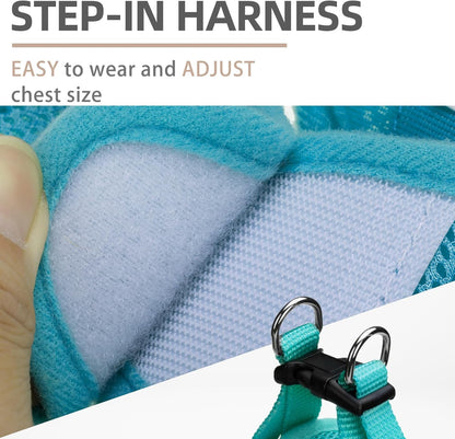 PUPTECK Adjustable Dog Harness Collar and Leash Set Step in No Pull Pet Harness for Small Medium Dogs Puppy and Cats Outdoor Walking Running, Soft Mesh Padded Reflective Vest Harnesses, Turquoise S