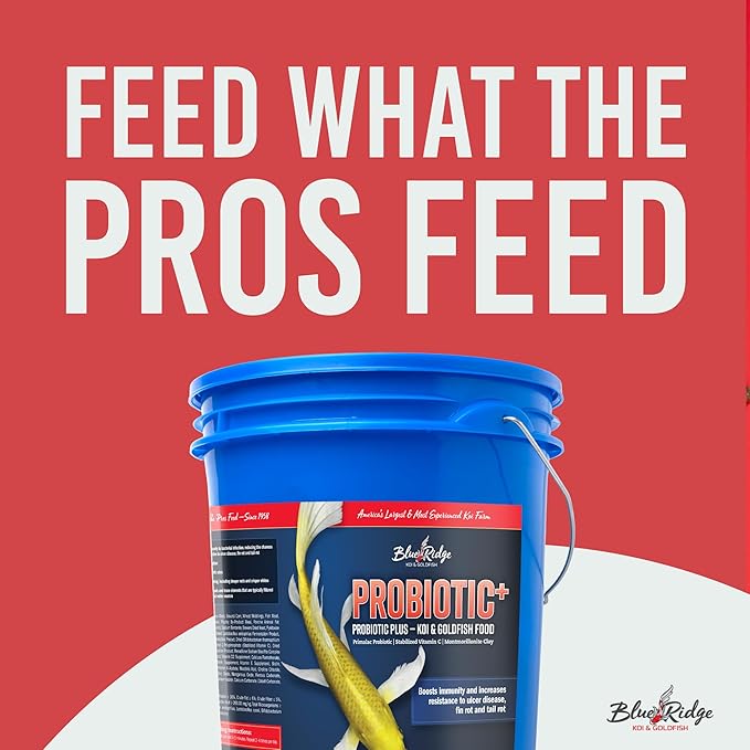 Blue Ridge Koi Fish Food 14lb - Koi Food 3/16” Probiotic Plus, Goldfish Food, Premium Fish Food for Ponds, Ponds Fish Food, Fall and Winter, Floating Pond Pellets