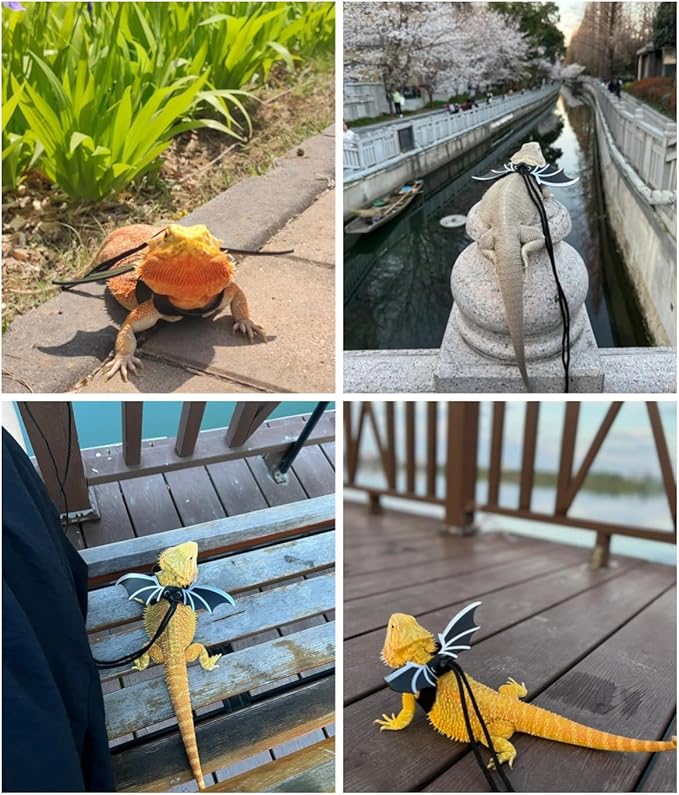 Bearded Dragon Leash Harness Set with Wings and a Hat, Reptile Leash Collar for Lizard, Leopard Gecko and Other Small Animal Pets, Outdoor Play
