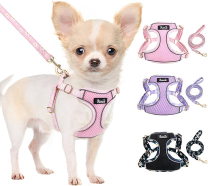 Lukovee No Pull Puppy Harness and Leash Set - Soft Lightweight Escape Proof Puppy Vest Harness, Breathable Adjustable Pet Harness with Dog Leash for Small Dogs (Pink, S)