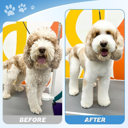 JASON Professional 6 in 1 Dog Scissors Set - 6.5" Thinning, 7" Straight, 7" Up-Curved, 7" Down-Curved Shears and Comb for Cat & Pet (Silver)