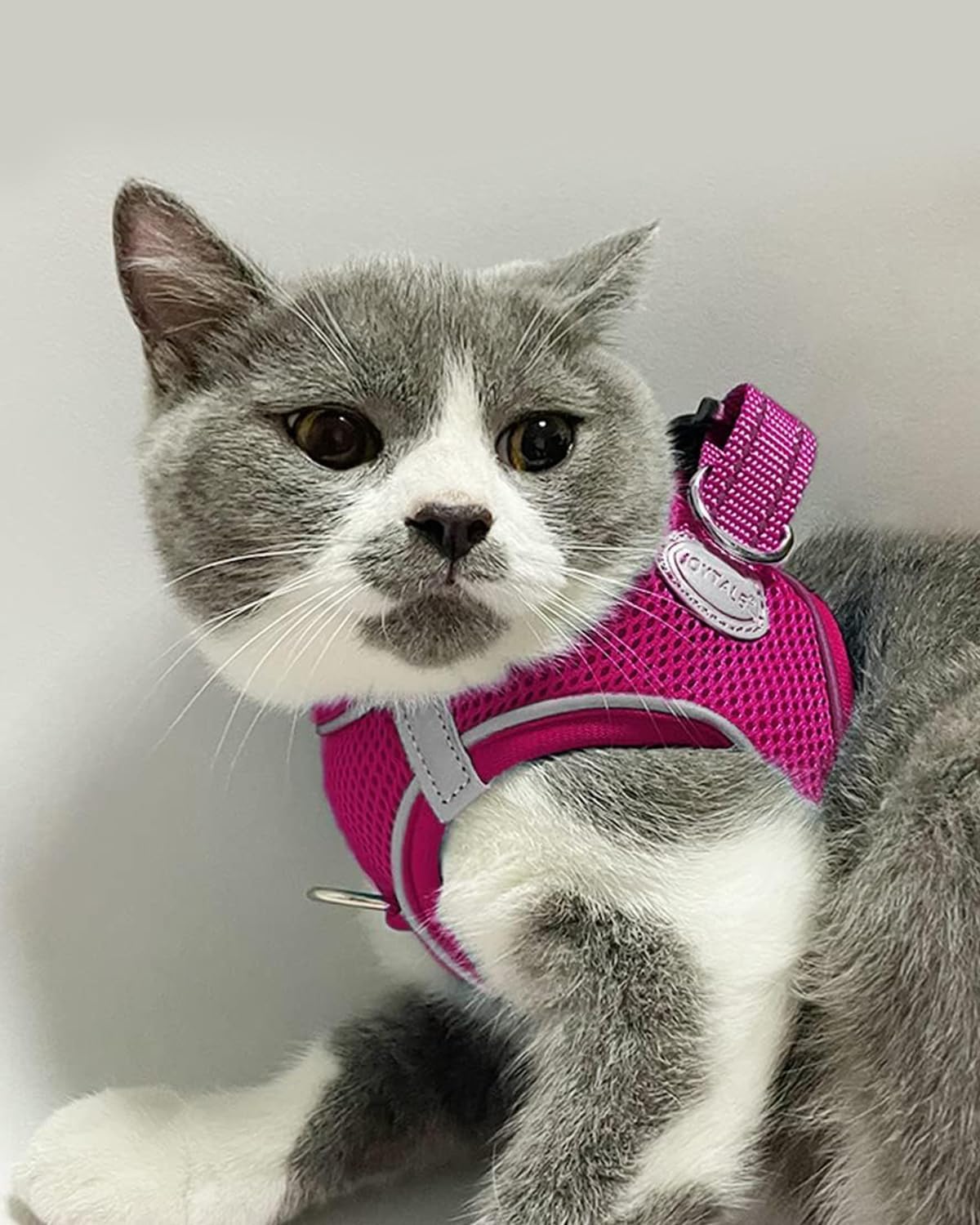 Joytale Small Dog Harness, Breathable Mesh Step-in Vest, Reflective Soft Padded Harnesses for Cats and Puppies Dogs, Hot Pink, XXXS