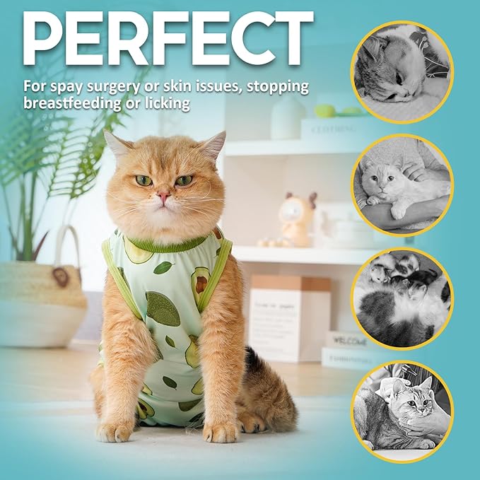Avont Cat Recovery Suit - Kitten Onesie for Cats After Surgery, Cone of Shame Alternative Surgical Spay Suit for Female Cat, Post-Surgery or Skin Diseases Protection -Avocado(S)