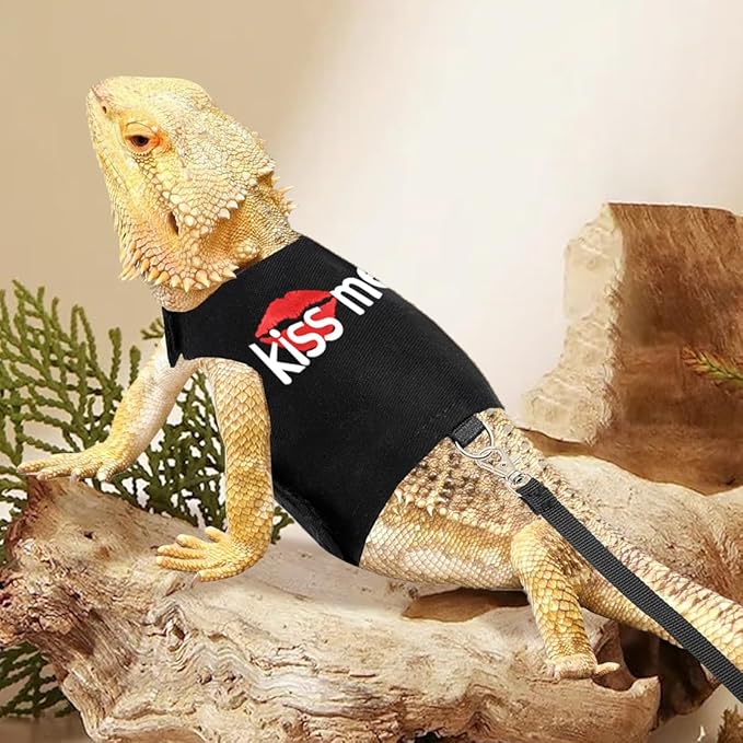 Bearded Dragon Harness and Leash with Glow in The Dark Letter, Luminous Lizard Reptiles Harness with 4.75 ft Leash for Amphibians Chameleons Outdoor Walking (Black)