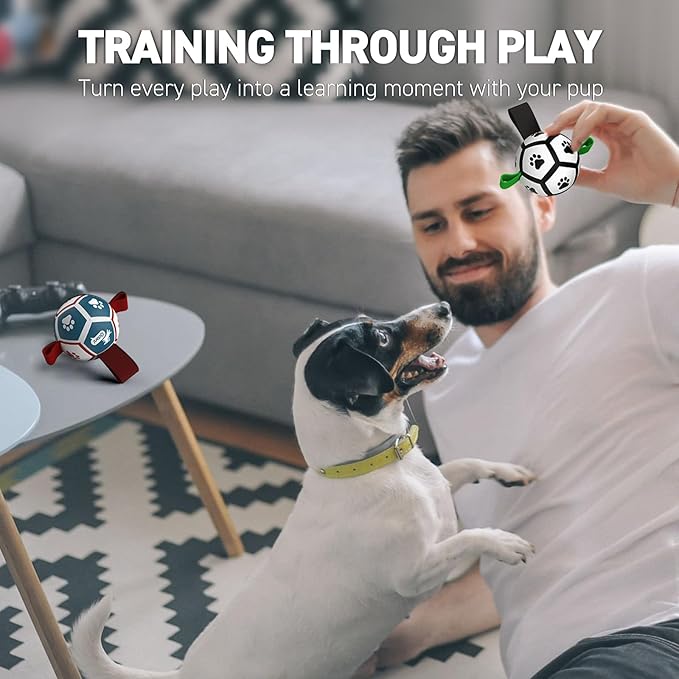 QDAN Small Dog Toys, Puppy Balls, Dog Balls with Straps for Small Breed, Soccer Ball for Dogs, Puppy Toys, Dog Birthday Gift (Pack of 2, 3.5 Inch)