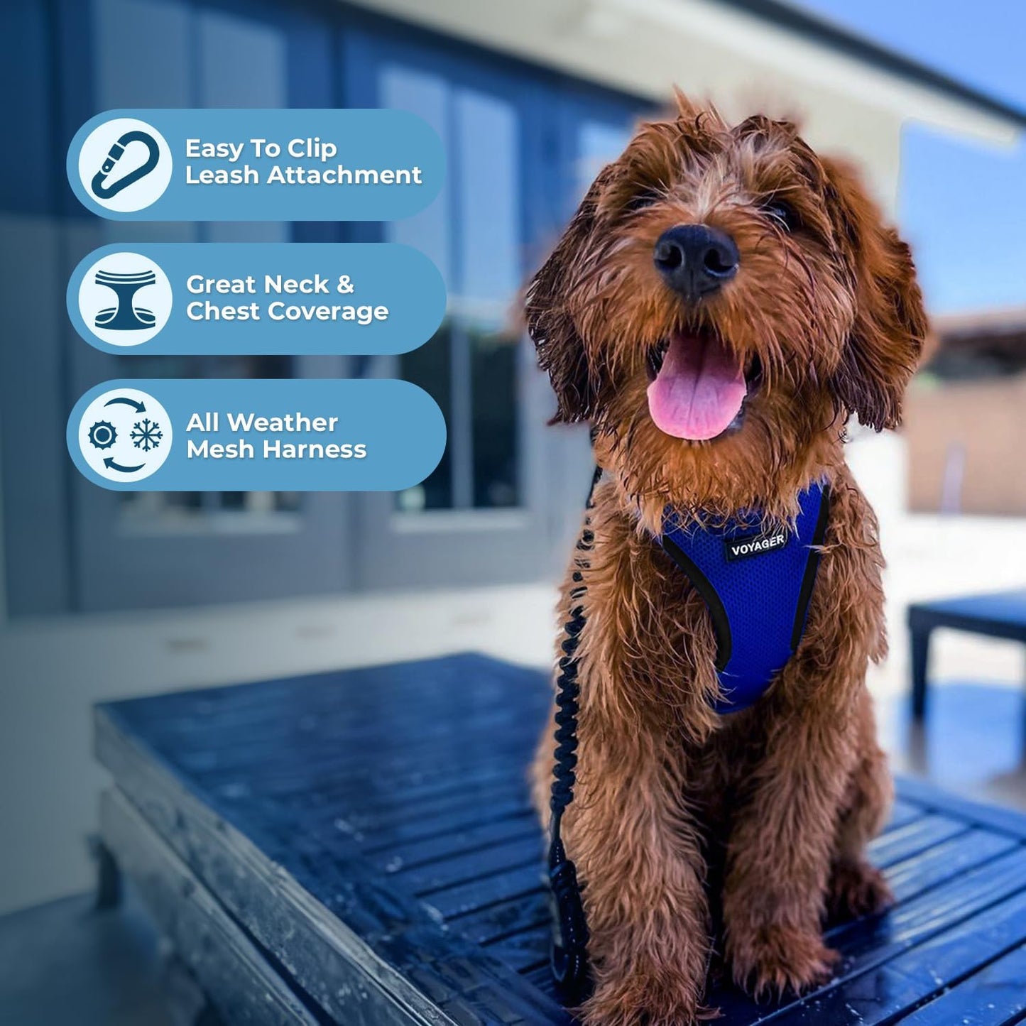 Best Pet Supplies Voyager Step-in Air Harness - All Weather Mesh, Reflective, No Pull Harness for Dogs, Cats - Secure with Hook & Loop Fastener, Buckle, Double D-Rings - Royal Blue/Black Trim, L