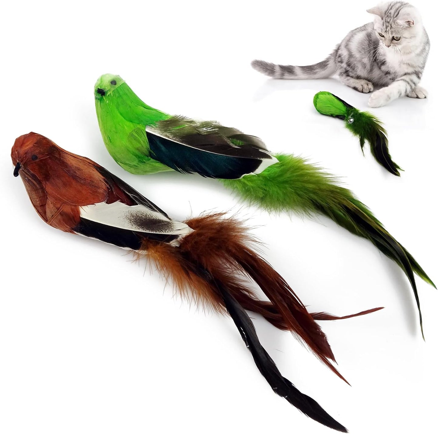 TTcat 2 Pcs Real Feather Cat Bird Toys Realistic Simulation Bird Cat Toys with Bells for Indoor Cats Kittens.