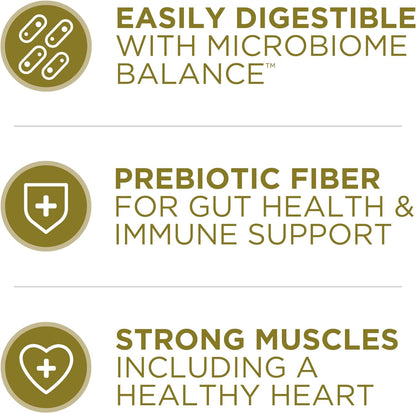 Purina ONE Dry Dog Food Lamb and Rice Formula - (Pack of 4) 4 lb. Bags