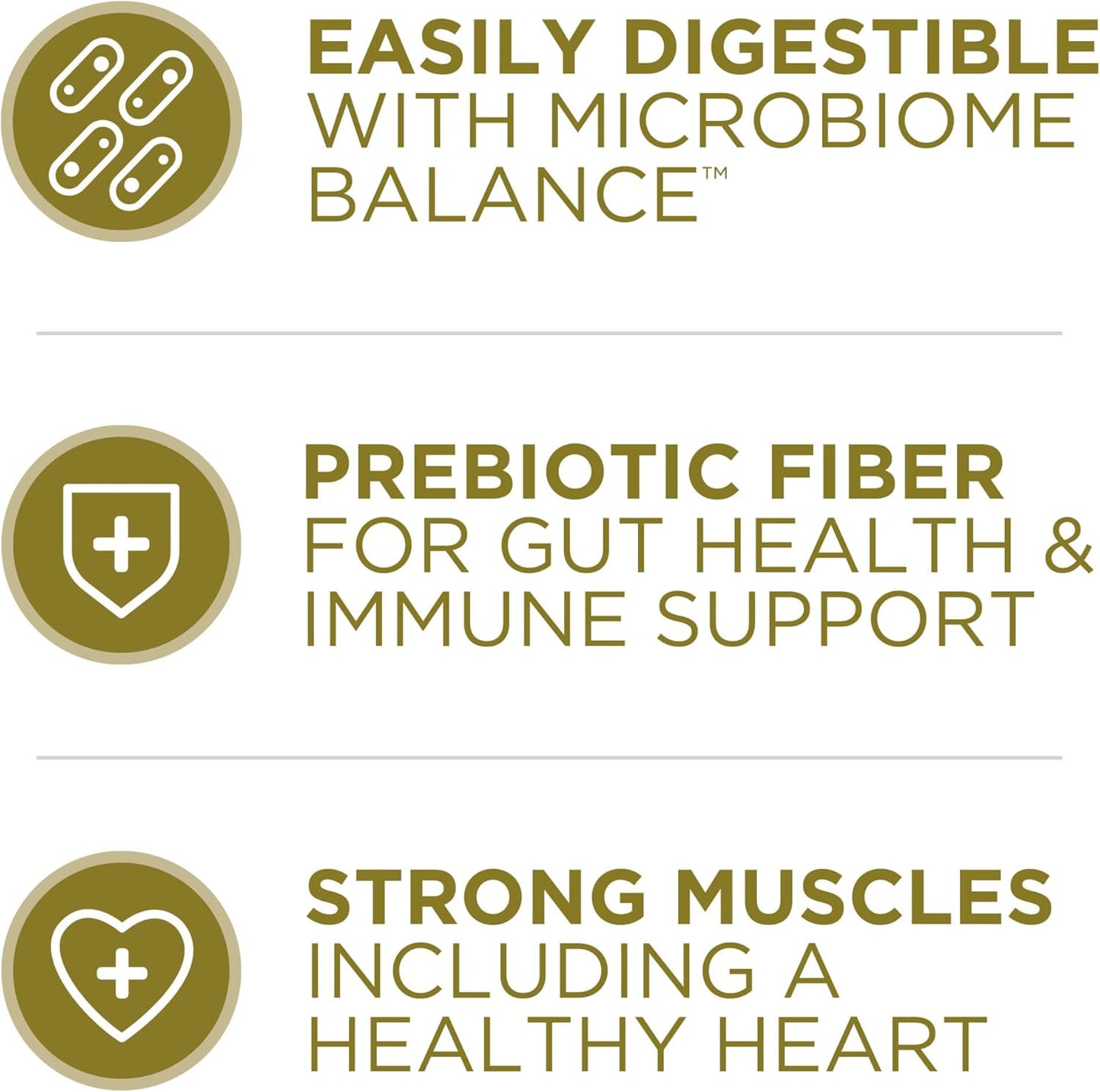 Purina ONE Dry Dog Food Lamb and Rice Formula - 31.1 lb. Bag