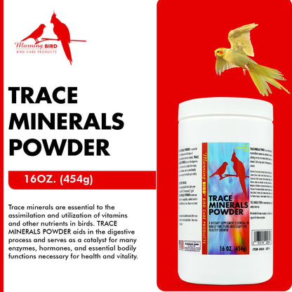 Morning Bird Trace Minerals Powder 16 Oz – Complete Mineral Supplement for Birds – Promotes Energy, Metabolism & Enzyme Activity – Easy to Mix for Daily Vitamin Support.