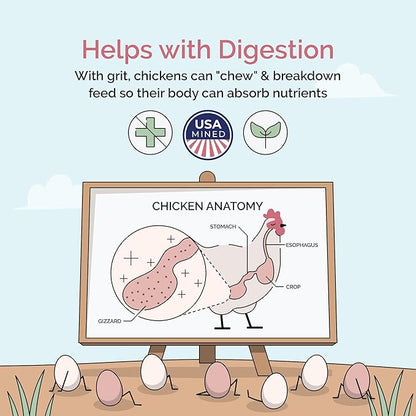 Mile Four Chicken Grit for Layer & Grower Chickens Age 8-20+ Weeks - 100% Natural Mineral Chicken Grit Quartzite, Poultry Grit, USA Mined, 4 lbs