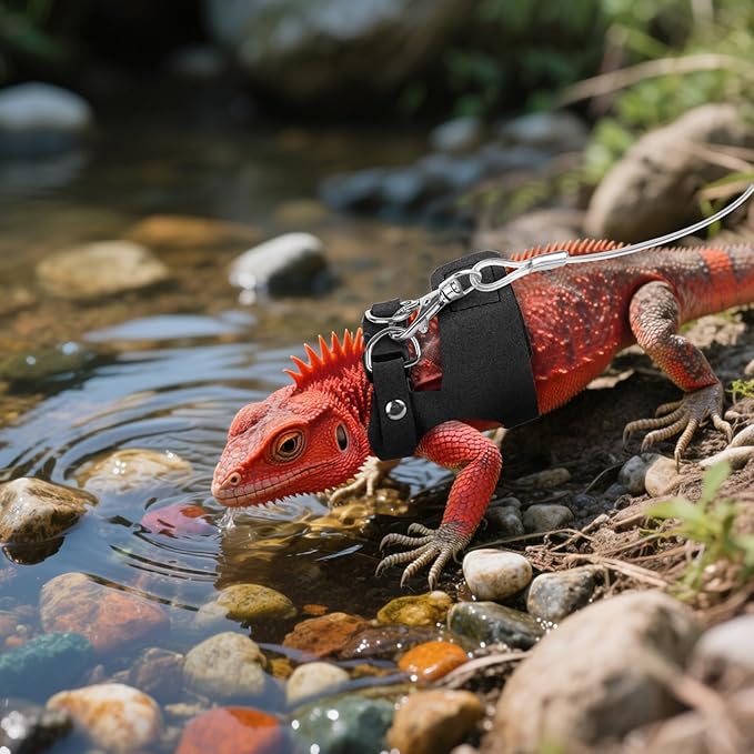 3 Pack Escape-Proof Bearded Dragon Leash - Adjustable Leather Vest and Retractable Nylon Leash, Bearded Dragons Accessories for Chameleons & Small Pets (S/M/L,Black)