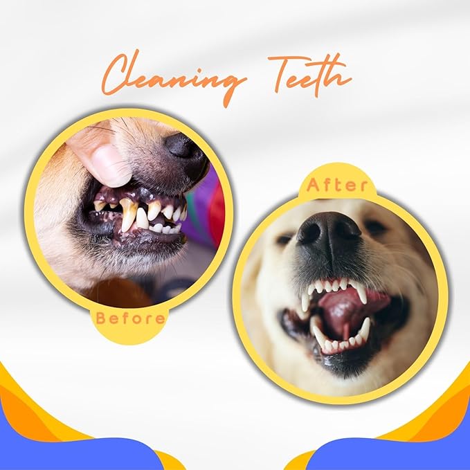 2 Pack Dog Balls Indestructible Interactive Dog Ball Durable Chew Toy for Aggressive Chewers Water-Friendly Tough Bouncing Ball for Dogs (2 Balls)