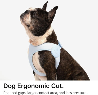 Ultra Comfortable Dog Harness Adjustable Soft Dog Vest, Alloy Buckle Closure Lightweight Stretchy Puppy Harness Step in for Small Sized Dogs Walking Training (Midnight Black, M 16.6-18.5")