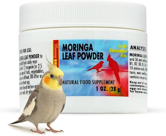 Morning Bird Moringa Leaf Powder 1 oz – Natural Food Supplement for Birds, Rich in Vitamins & Minerals, Boosts Immune System & Energy, Supports Healthy Feathers, Digestion, and Overall Avian Wellness