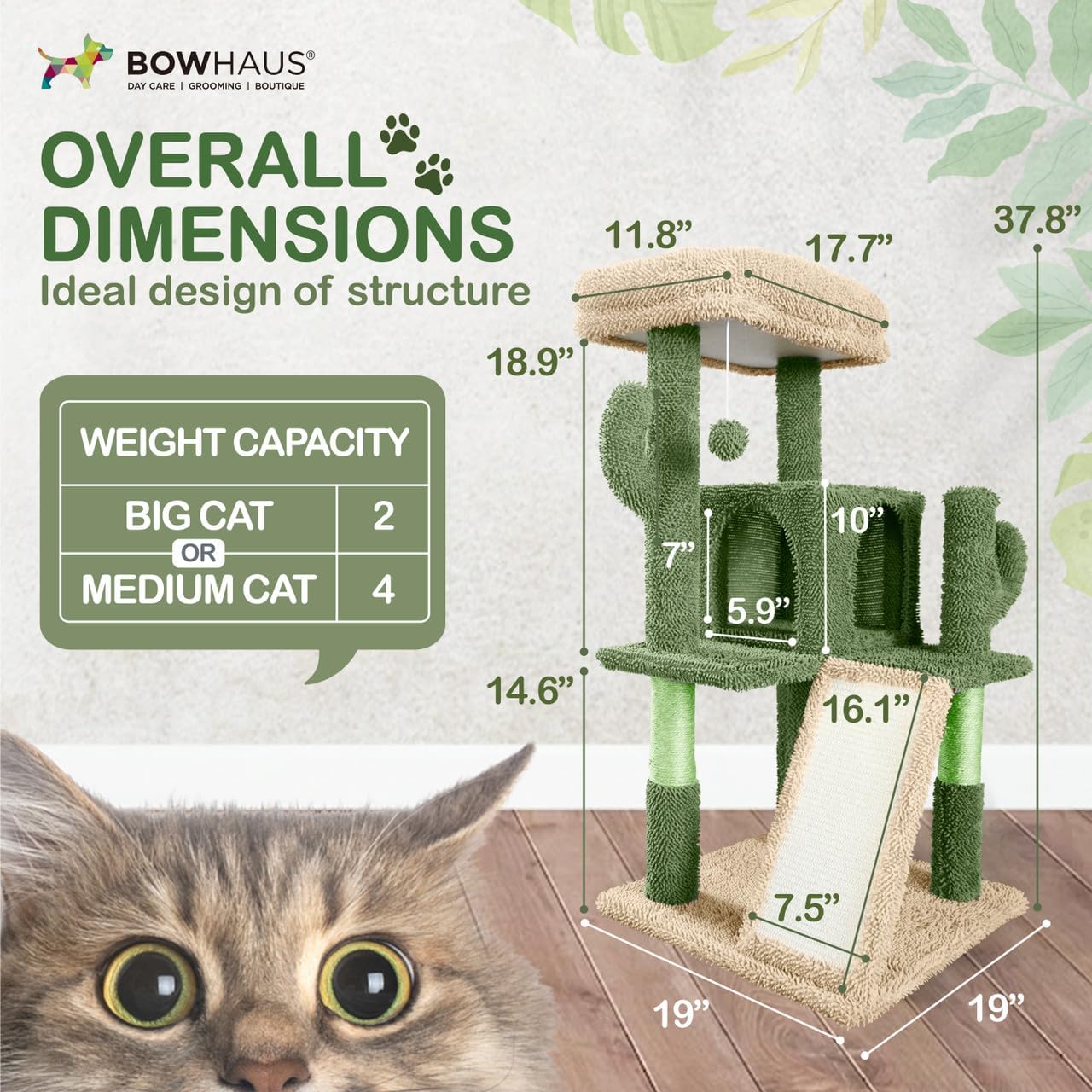 CAPHAUS Cactus Cat Tower for Indoor Cats, Cute 37-Inch Small Cactus Cat Tree w/Widened Perch for Large Cats & Kittens, Multi-Level Cat Activity Tree w/Scratching Posts & Ramp, 2-Door Cat Cave Condo