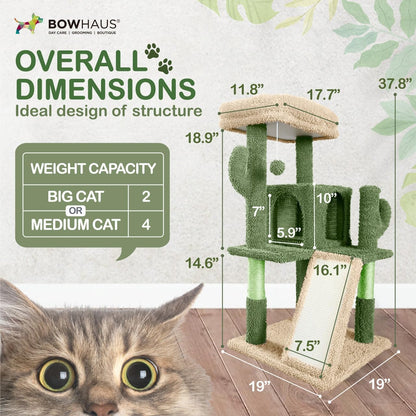 CAPHAUS Cactus Cat Tower for Indoor Cats, Cute 37-Inch Small Cactus Cat Tree w/Widened Perch for Large Cats & Kittens, Multi-Level Cat Activity Tree w/Scratching Posts & Ramp, 2-Door Cat Cave Condo