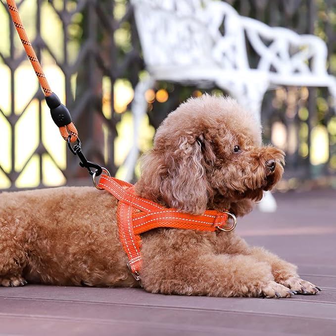 Plutus Pet No Pull Dog Harness with Breathable Mesh Padded, Adjustable Reflective Escape Proof Dog Harness, Quick Fit Dog Vest Harness for Small Medium Large Dogs(XS, Orange)