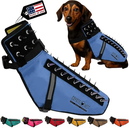 CoyoteVest Dog Harness Protection Vest, Reflective Dog Accessories with Spikes to Shield Your Pet from Raptor and Animal Attacks, Proudly Made in America (Small, Royal Blue)