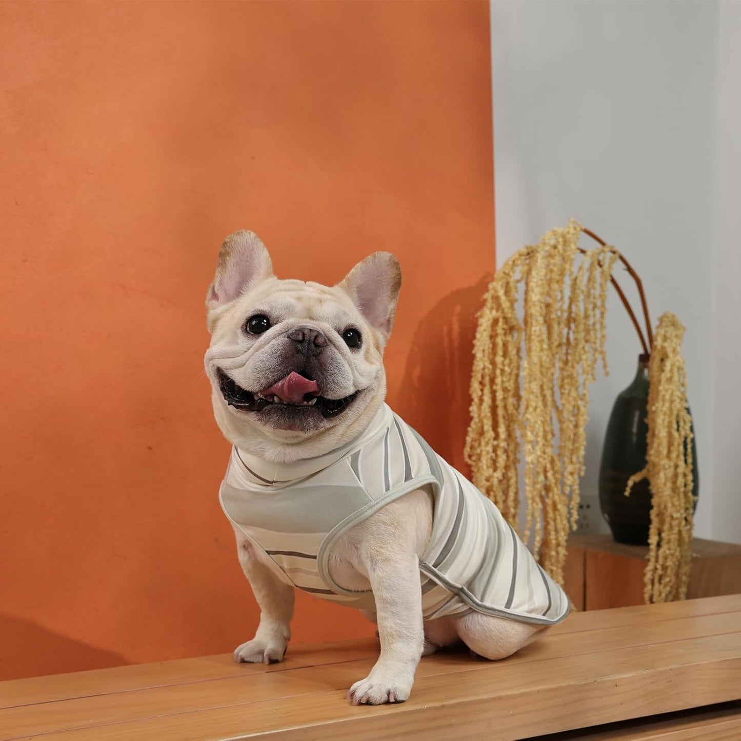 ROZKITCH Dog Sweater Pullover Cold Weather Vest for Dogs, Stretchy Sweatshirt & Soft Jacket with Leash Hole for Indoor and Outdoor Use Girl & Boy Dachshund ShallowCoffee L