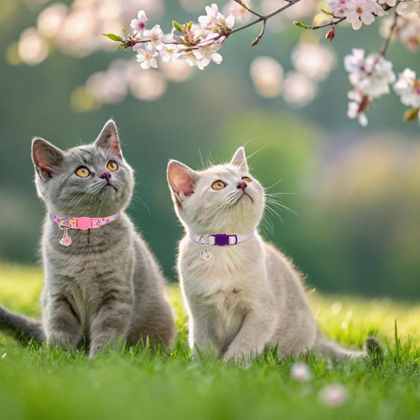 Breakaway Cat Collar with Bells, 3 Pack Summer Spring Cat Collar for Girl Boy Cats, Cute Pink Purple Yellow Flower Kitten Collars with Safety Buckle, Adjustable 8"-12" for Puppy Small Pets