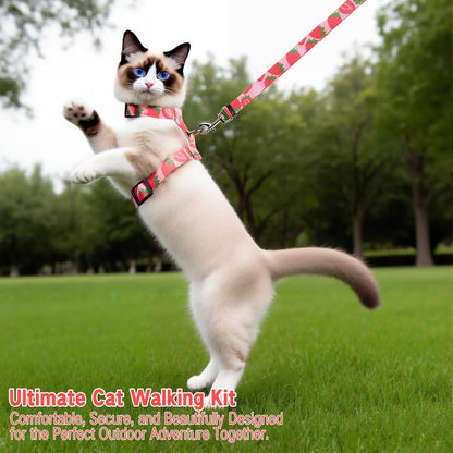 Cat Harness and Leash Set, Escape Proof Cat Harness, Comfortable Soft Lightweight Cat Leash, Use Safe and Easy, Outdoor Walking Travel Kitten Harness for Small Medium Large Cats
