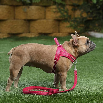 Plutus Pet No Pull Dog Harness with Breathable Mesh Padded, Adjustable Reflective Escape Proof Dog Harness, Quick Fit Dog Vest Harness for Small Medium Large Dogs(M, Pink)