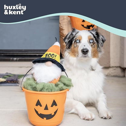 Huxley & Kent Halloween Funny Dog Toy w/Squeaker – Power Plush Squeaky Dog Toys for Small, Medium & Large Dogs – Soft Stuffed Animal for Indoor Play & Fetch - Candy Corn Gnome, One Size