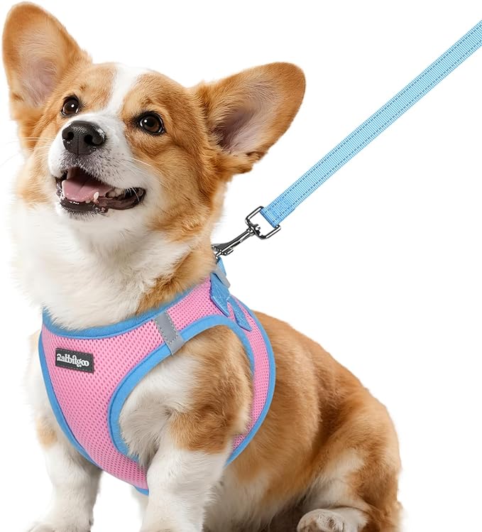 rabbitgoo Dog Harness Small Sized and Leash Set, Step-in Breathable Pet Harness, Soft Walking Reflective Puppy Vest for Small Dogs, Pink & Light Blue, L