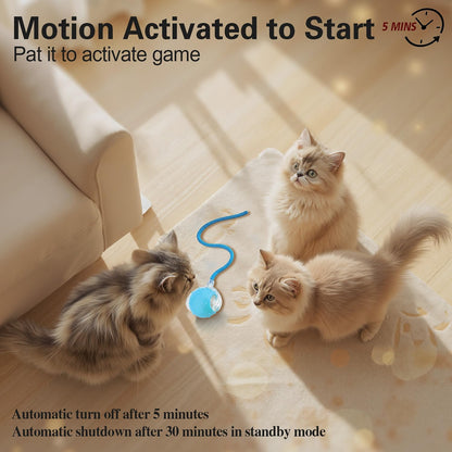 Interactive Cat Toys Ball for Indoor Cats, Automatic Agile Rolling Cat Ball with Elastic Mesh Tail, Bird Chirping & Motion Activated, 2 Tail Accessories, Kitten Toy for Bored (Blue)