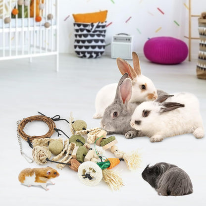 Bissap 3 PCS Rabbit Chew Toy, Bunny Cage Hanging Chew Toys Treats Rattan Ring with Snacks Water Grass Wooden Block Carrot for Guinea Pigs Chinchillas Hamsters Rats and Other Small Pets Teeth Grinding