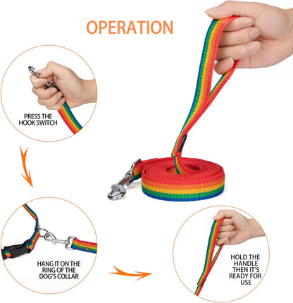 Strong Durable Nylon Dog Training Leash, 1 Inch Wide Traction Rope, 6 ft 10ft 15ft Long, for Small and Medium Dog (Rainbow, 10 Feet)