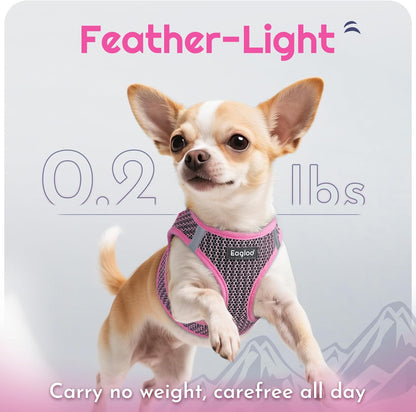 Eagloo Small Dog Harness and Leash Set, Step in Puppy Vest with Breathable Soft Mesh, Walking Reflective Pet Harness for Small Dogs, Pink, S